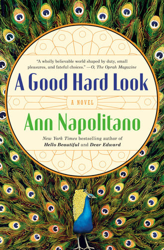A Good Hard Look A Novel