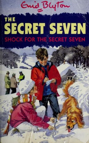 Shock for the Secret Seven