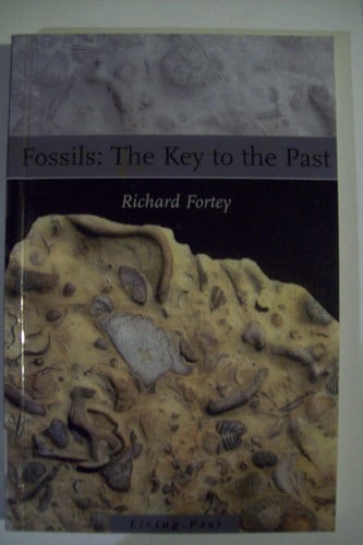 Fossils The Key to the Past
