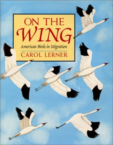 On the Wing American Birds in Migration