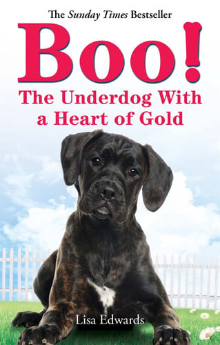 Boo! The Underdog with a Heart of Gold