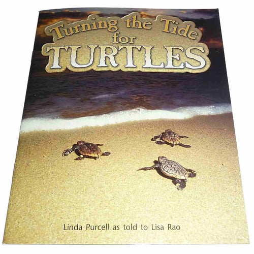Turning the Tide for Turtles Leveled Reader Grade 4