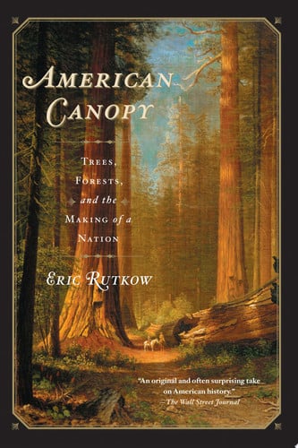 American Canopy Trees, Forests, and the Making of a Nation