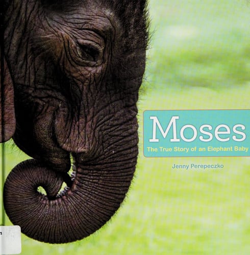 Moses The True Story of an Elephant Baby