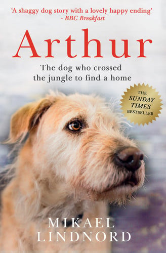 Arthur The Dog Who Crossed the Jungle to Find a Home