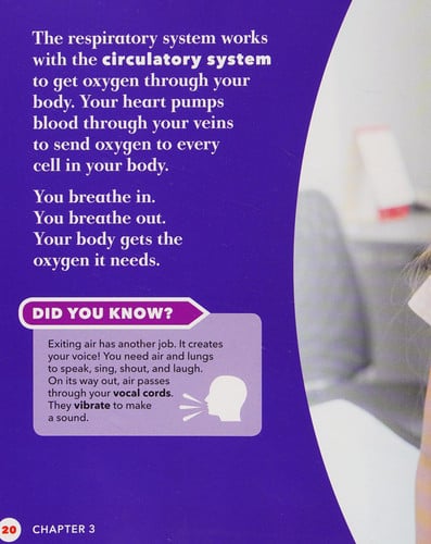 Respiratory System