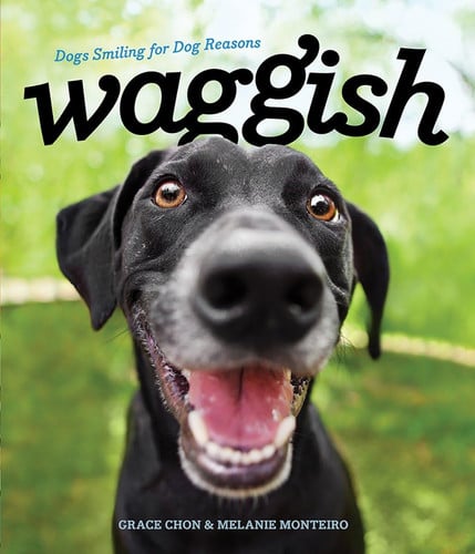Waggish Dogs Smiling for Dog Reasons