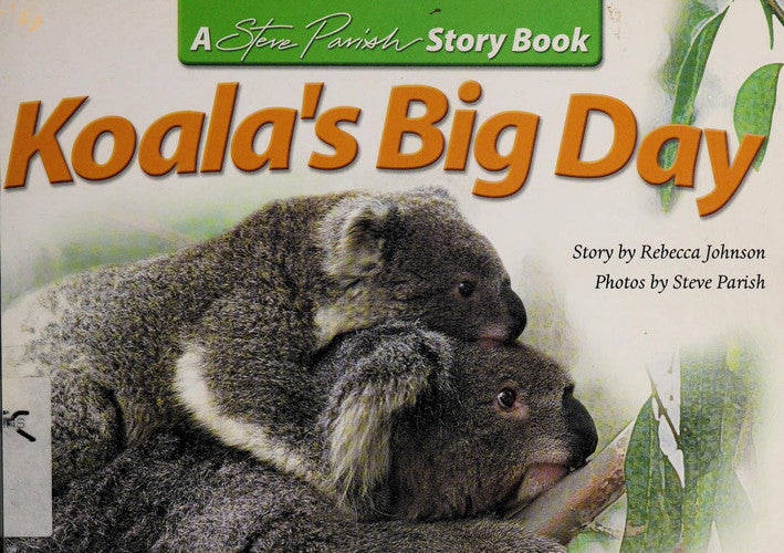 Koala's Big Day