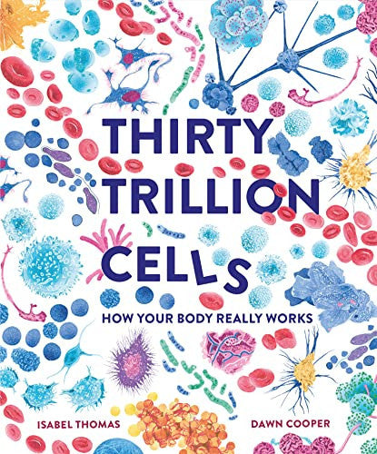 Thirty Trillion Cells How Your Body Really Works