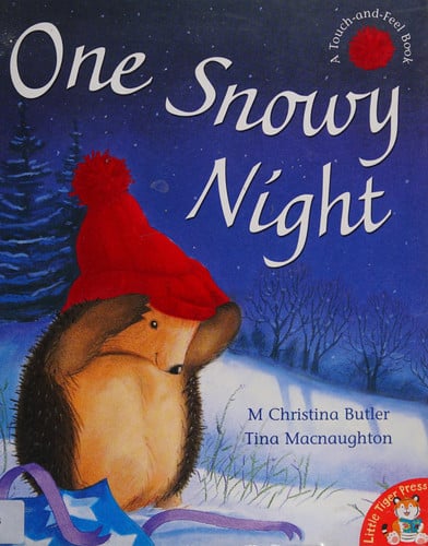One Snowy Night