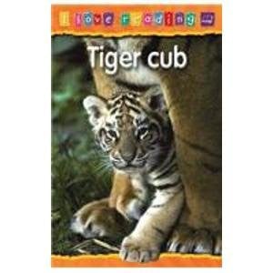 Tiger Cub